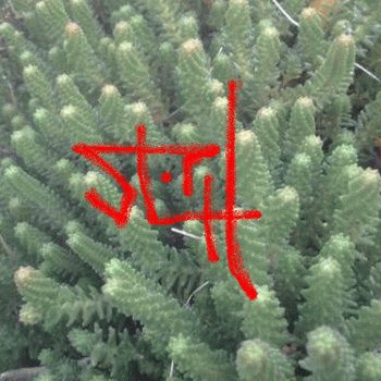 Sloth (USA-2) : 9-18-14